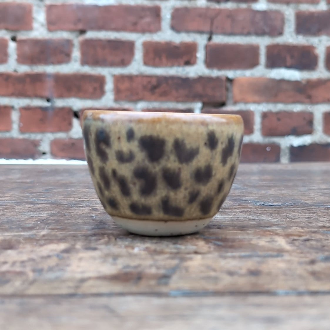 Kop, Leopard #8