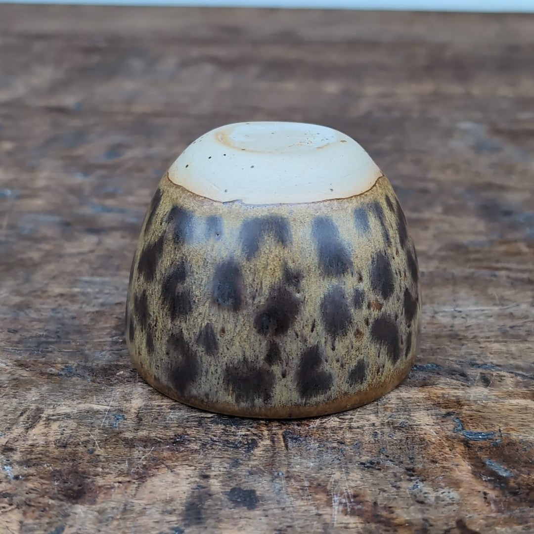 Kop, Leopard #8