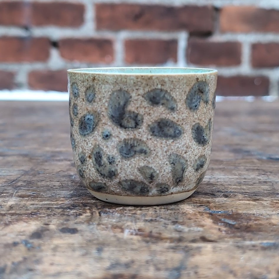 Espressokop, Leopard #10