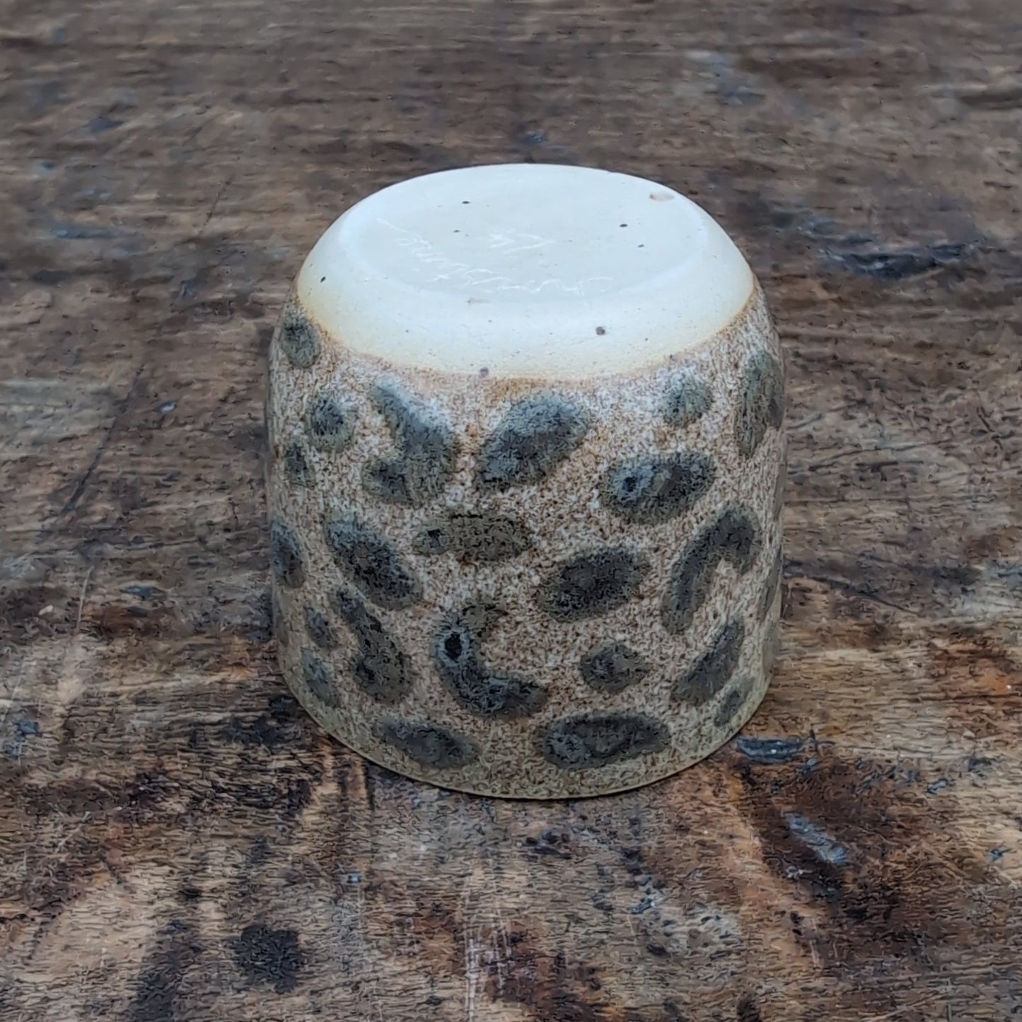 Espressokop, Leopard #10