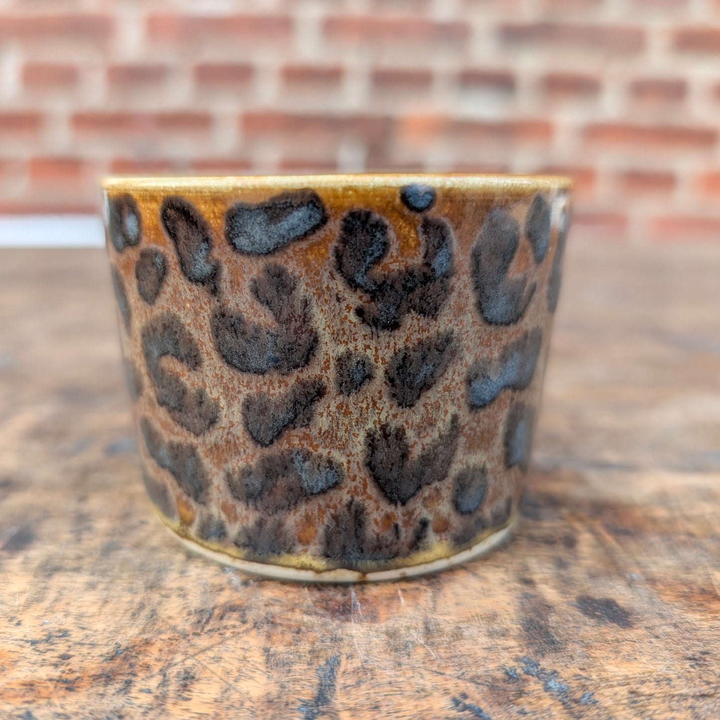 Kop, Leopard #1