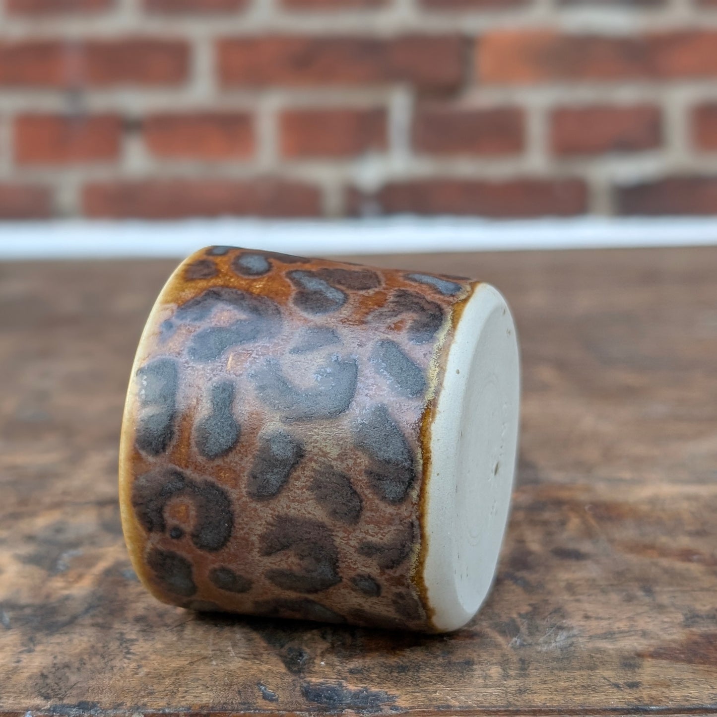 Kop, Leopard #5