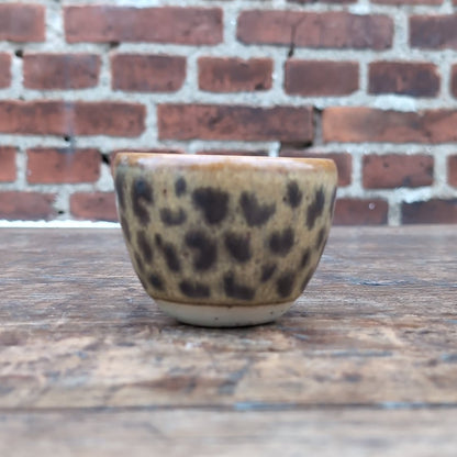Kop, Leopard #8