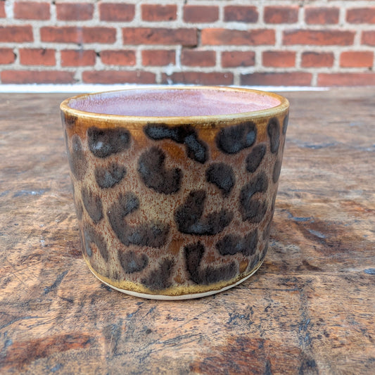 Kop, Leopard #1