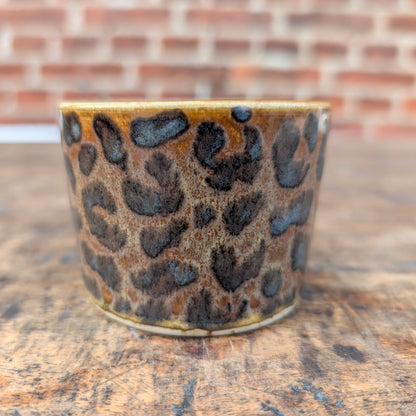 Kop, Leopard #1