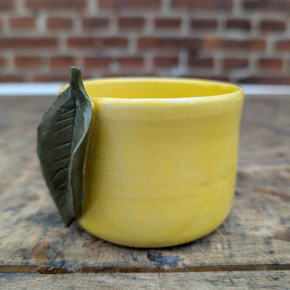 Kop, Citrus No. 4