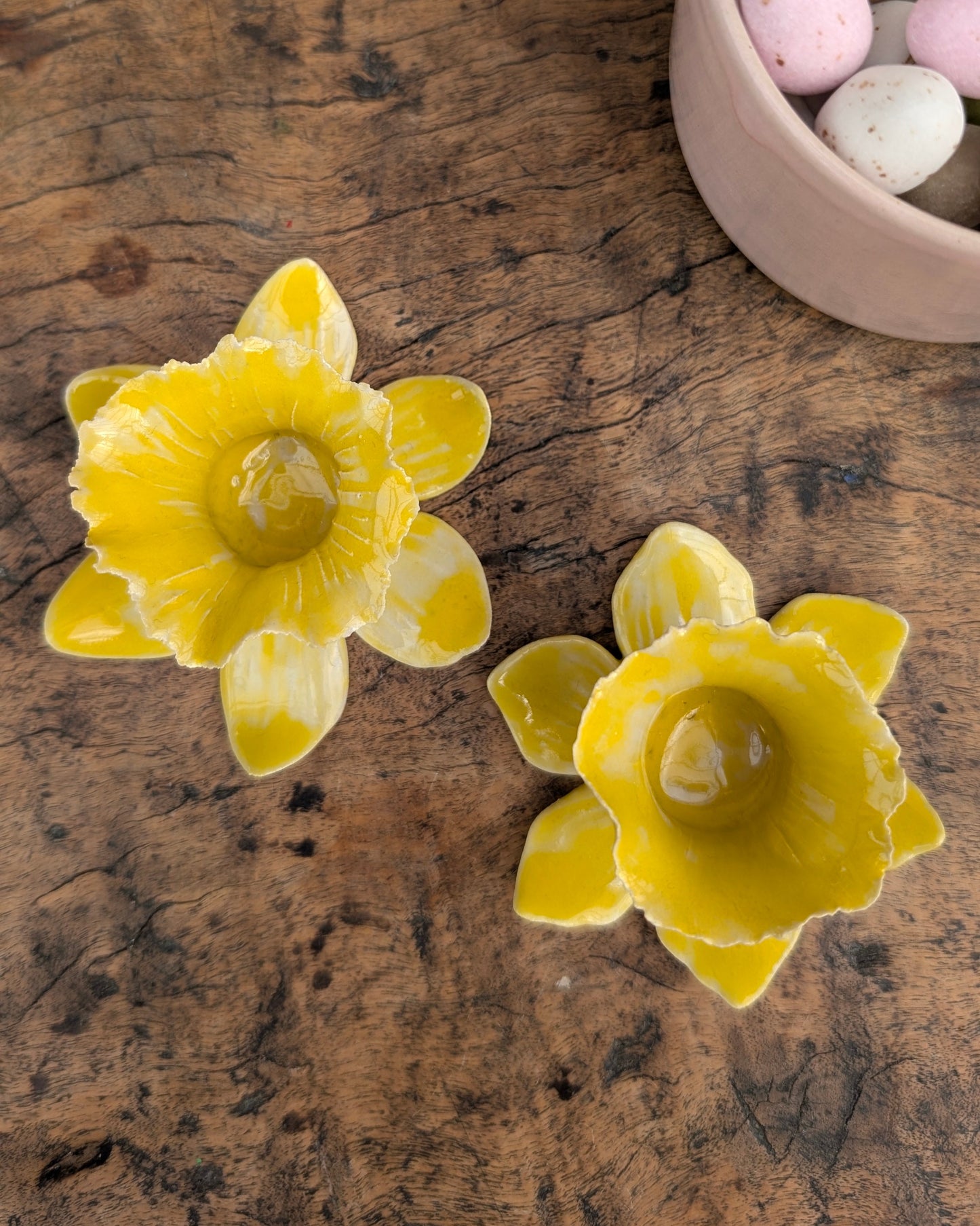 Narcissus lysestage