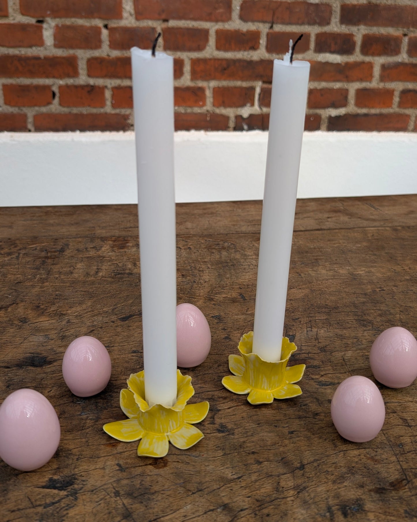 Narcissus lysestage