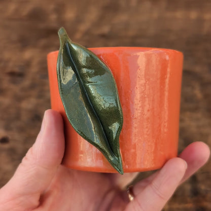 Kop, Citrus #2