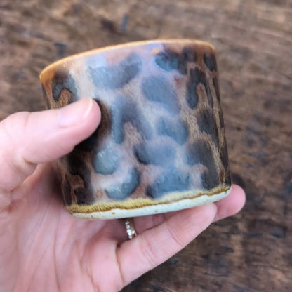 Kop, Leopard #4